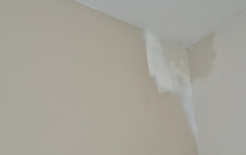 Peintre en batiment au Teich