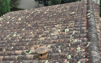 Nettoyage de toiture Gujan-Mestras 