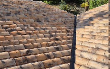 Nettoyage de toiture Gujan-Mestras 