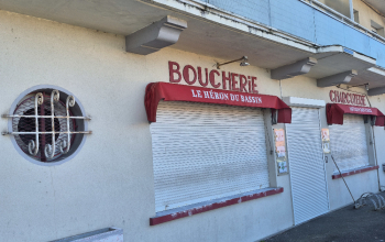 Peintre en batiment au Teich (33470)