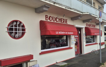 Peintre en batiment au Teich (33470)