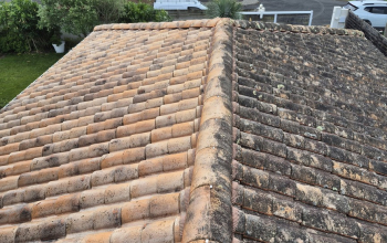 Nettoyage de toiture Gujan-Mestras